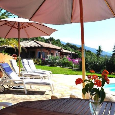 Villa Vetricella Corse Sud Olmeto  Esterno foto