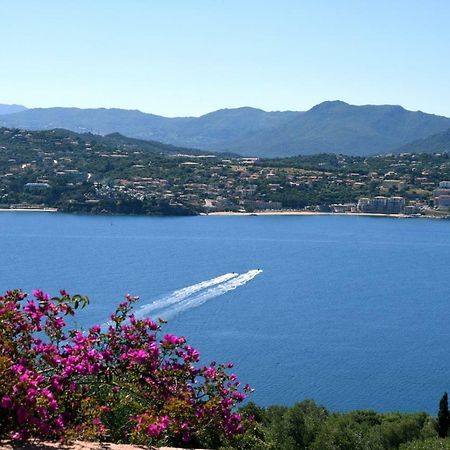 Villa Vetricella Corse Sud Olmeto  Esterno foto