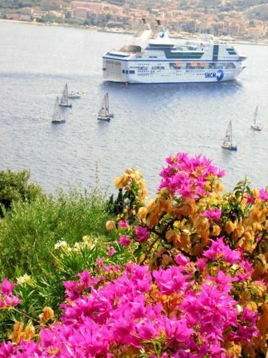 Villa Vetricella Corse Sud Olmeto  Esterno foto