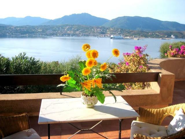 Villa Vetricella Corse Sud Olmeto  Esterno foto