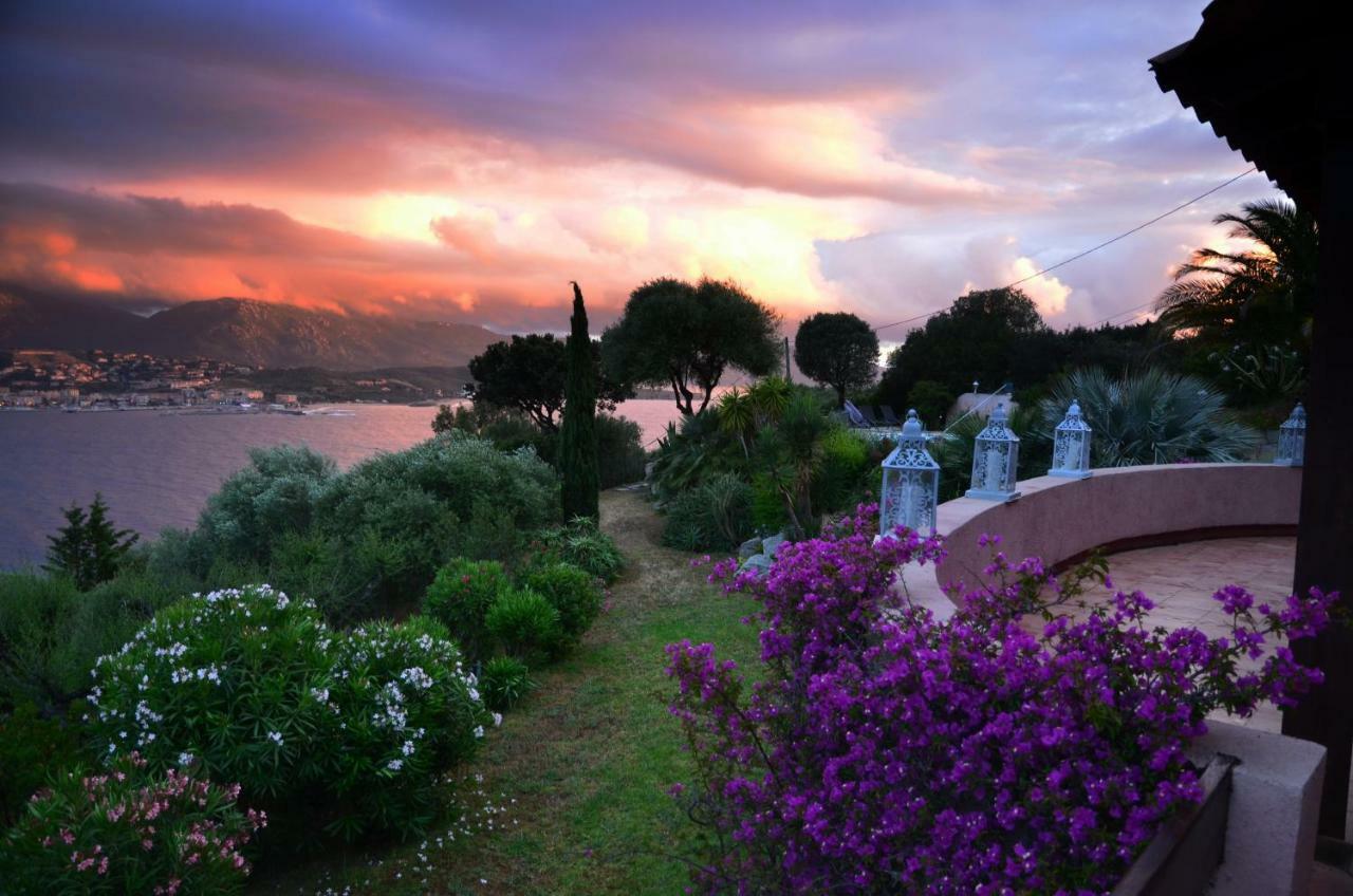 Villa Vetricella Corse Sud Olmeto  Esterno foto