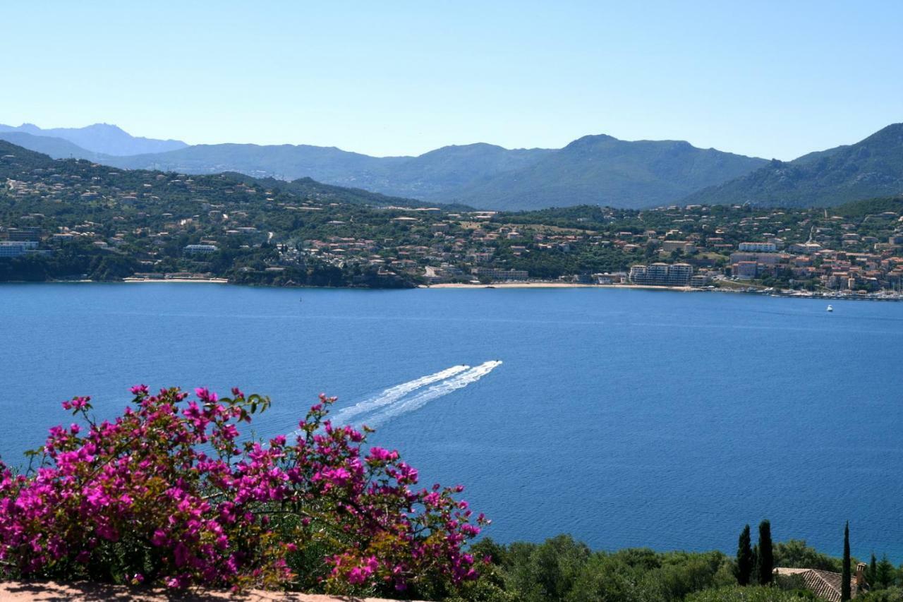 Villa Vetricella Corse Sud Olmeto  Esterno foto