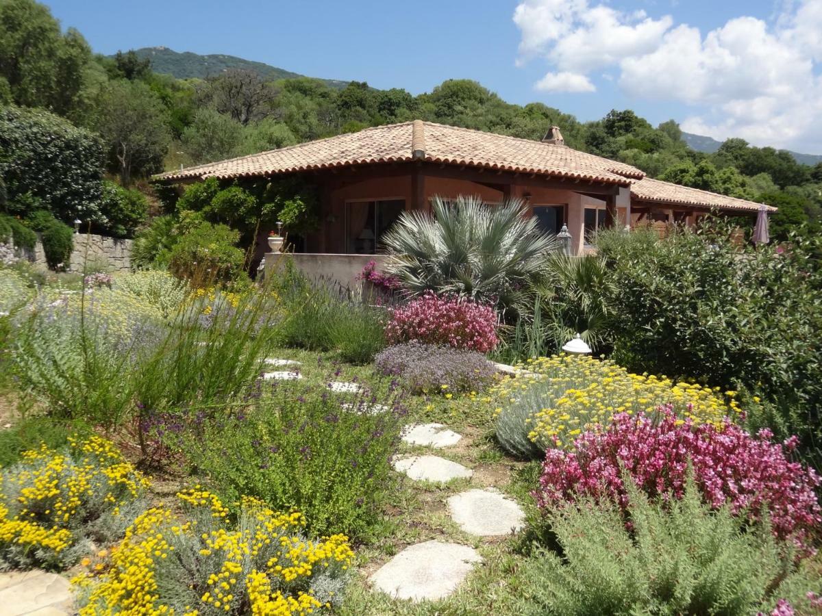 Villa Vetricella Corse Sud Olmeto  Esterno foto