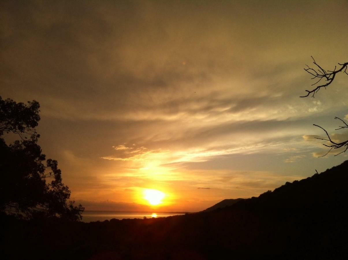 Villa Vetricella Corse Sud Olmeto  Esterno foto