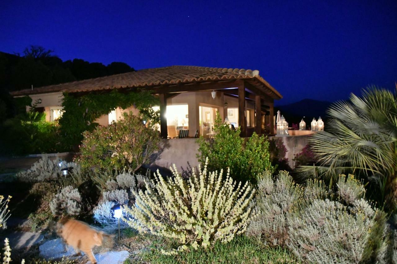 Villa Vetricella Corse Sud Olmeto  Esterno foto
